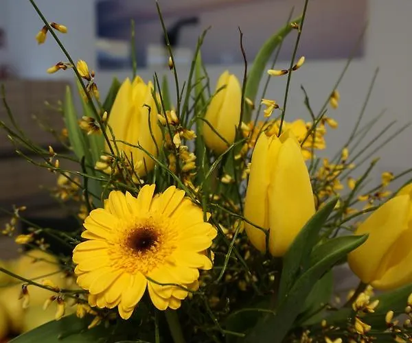 Schlafplatzl Marchtrenk